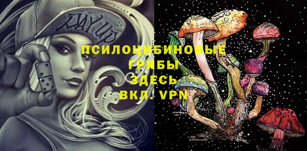 соль ск Волоколамск