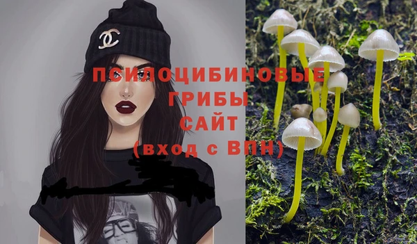 стаф Володарск