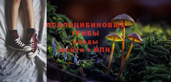 стафф Верея