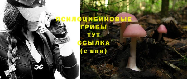 крисы Волосово