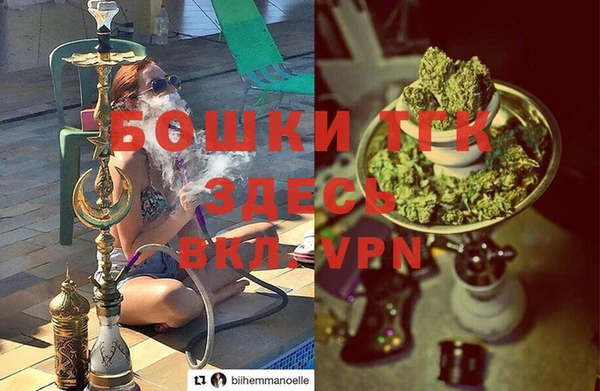 стаф Володарск