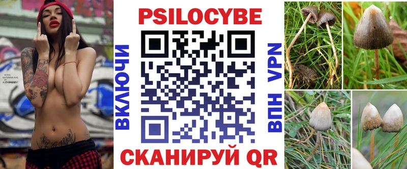 как найти закладки  Новочебоксарск  kraken рабочий сайт  Галлюциногенные грибы Magic Shrooms 